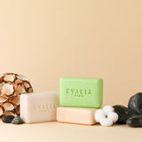 Gels douche solides SPA